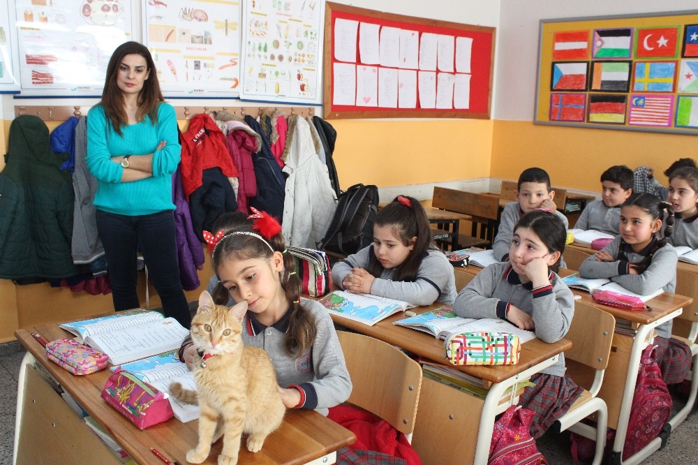 ŞİKAYETLE UZAKLAŞTIRILAN TOMBİ SINIFINA DÖNDÜ!