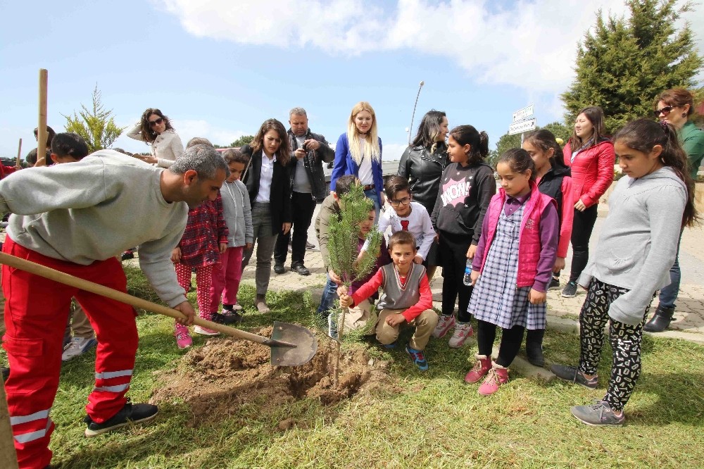 Doğa ve çevre dostu Bayraklı