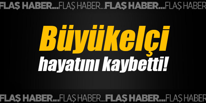 Büyükelçi hayatını kaybetti!
