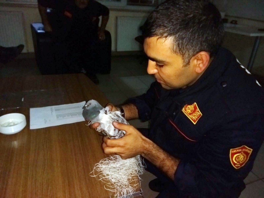 Fileye takılan güvercini itfaiye kurtardı