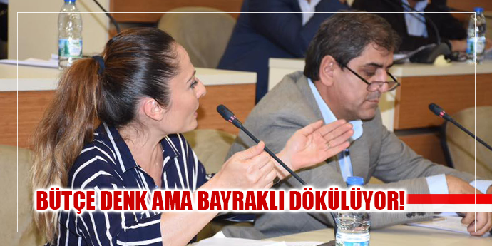 BÜTÇE DENK AMA BAYRAKLI DÖKÜLÜYOR