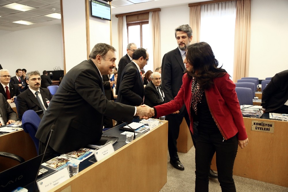 Bakan Eroğlu Plan ve Bütçe Komisyonunda sunum yaptı