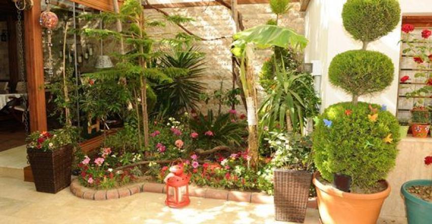 En güzel balkon ve bahçe seçildi