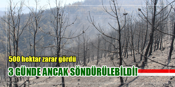 Bayındır'daki yangında soğutma çalışmaları sürüyor