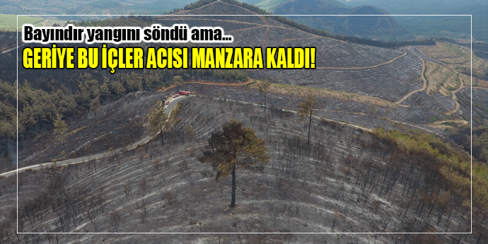 4 günlük yangının ardından yürek yakan görüntüler