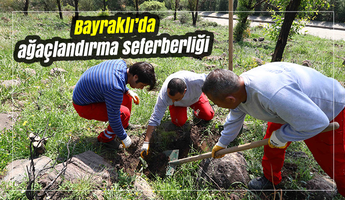 Bayraklı’da ağaçlandırma seferberliği
