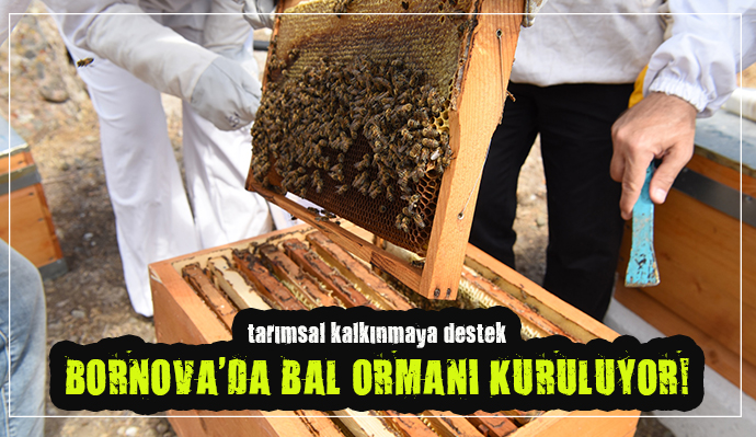 BORNOVA'DA BAL ORMANI KURULUYOR