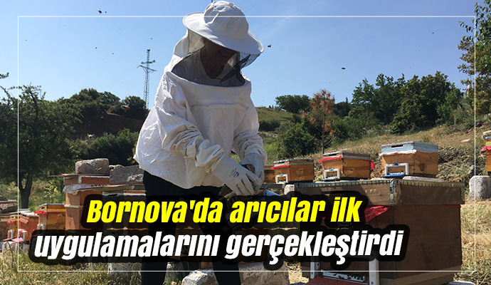 Bornova'da arıcılar ilk uygulamalarını gerçekleştirdi