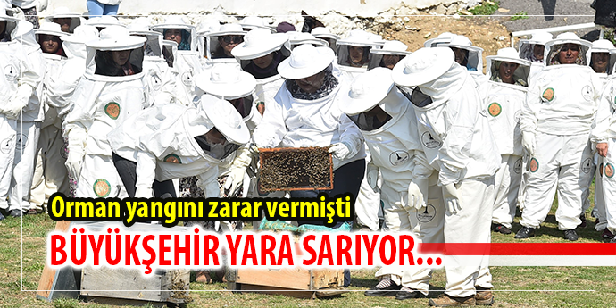 Büyükşehir yara sarıyor