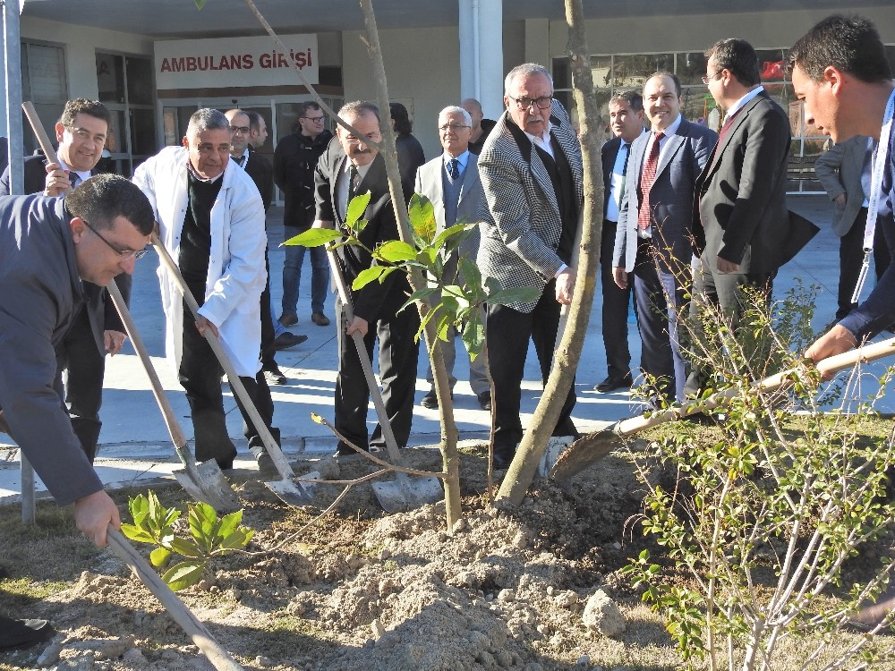 Çeşme’de hastane bahçesi yeşillendirildi