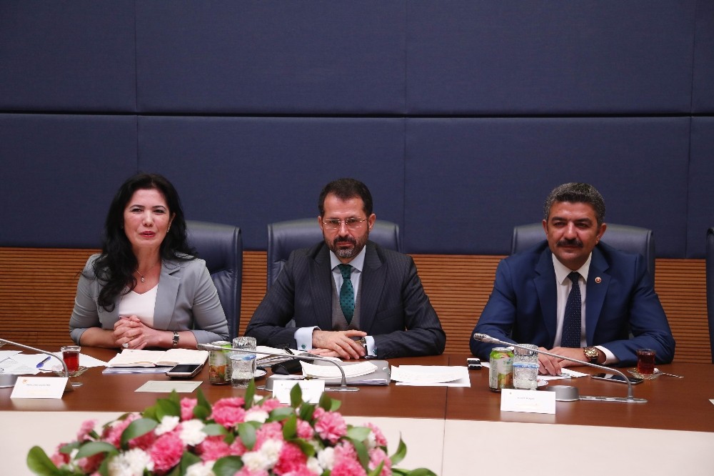 “Ticaret hacmimizin 100 milyar dolar seviyesine çıkabilir