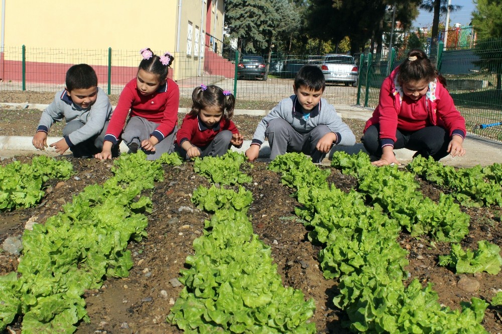 (Özel haber) Zil çalınca oyuna değil hobi bahçelerine koşuyorlar