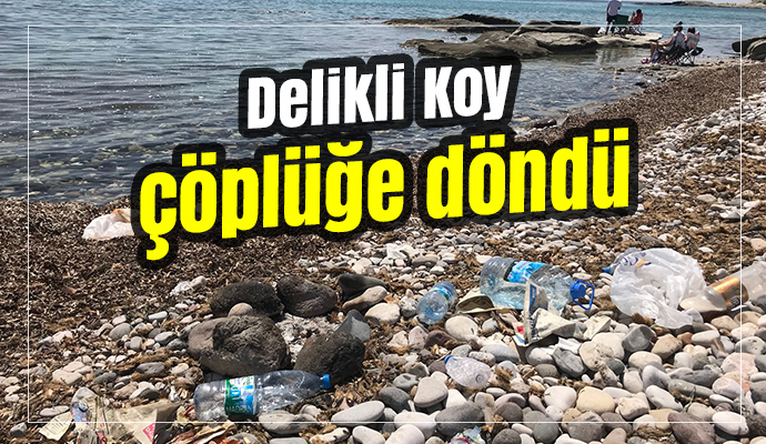Delikli Koy çöplüğe döndü