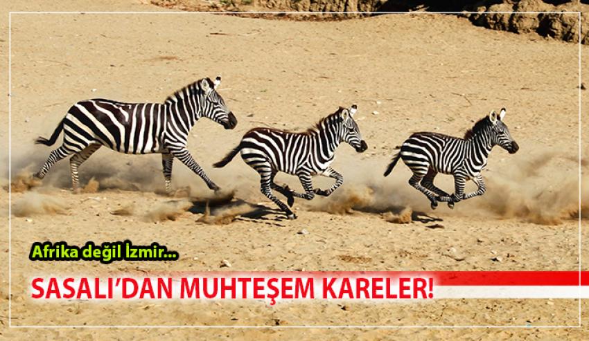 BU FOTOĞRAF YARIŞMASINDA BİRİNCİYİ SEÇMEK ÇOK ZORDU!