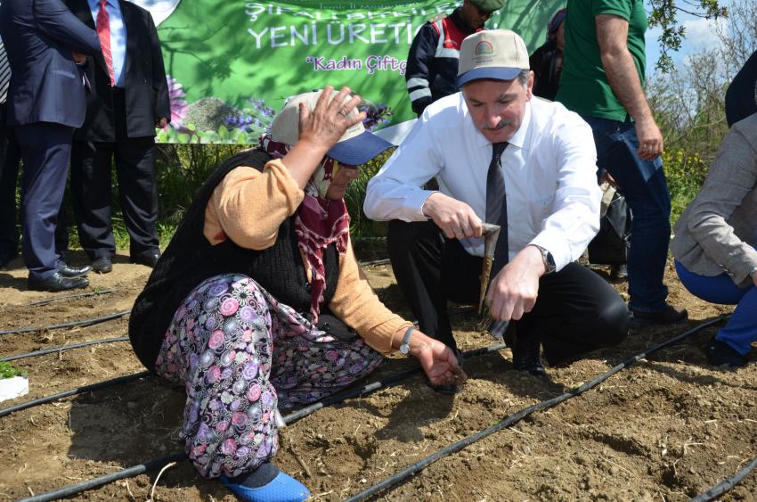Şifalı Bitkiler İzmirli Kadınlara Emanet