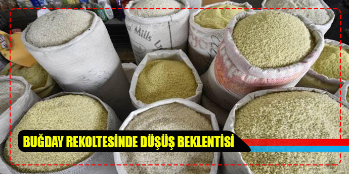 FAO Gıda Fiyat Endeksi Şubat’ta yükselişini sürdürdü