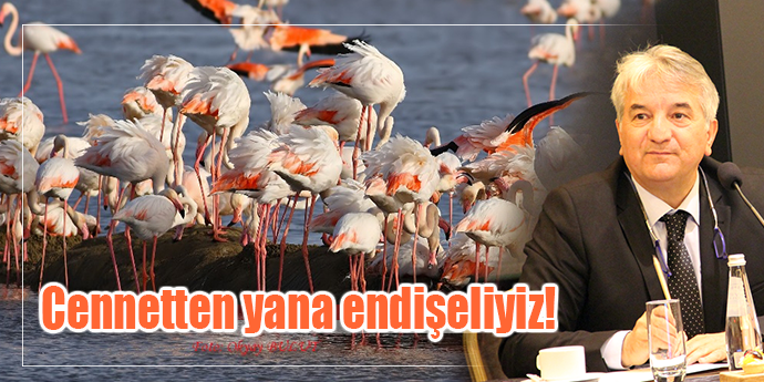Egeli turizmci Kuş Cenneti’nin geleceğinden endişeli