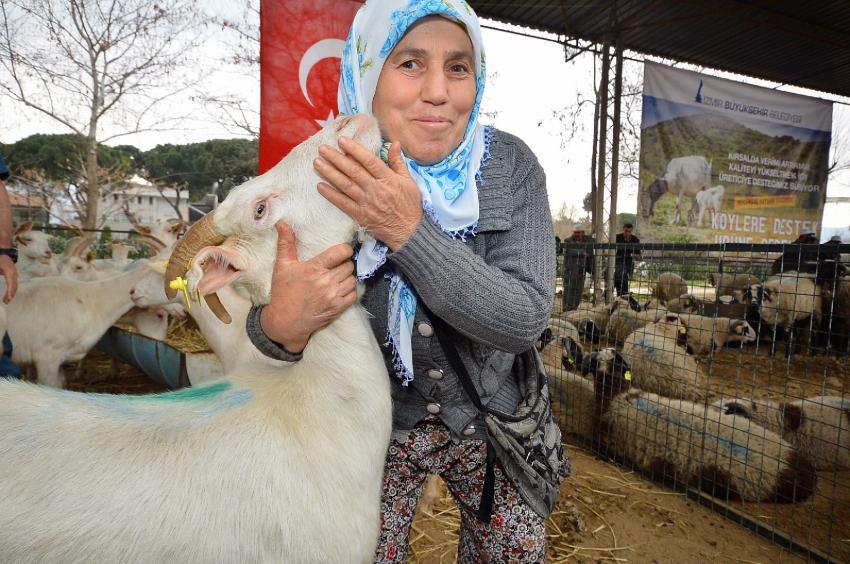 EGE DAYANIŞMASI