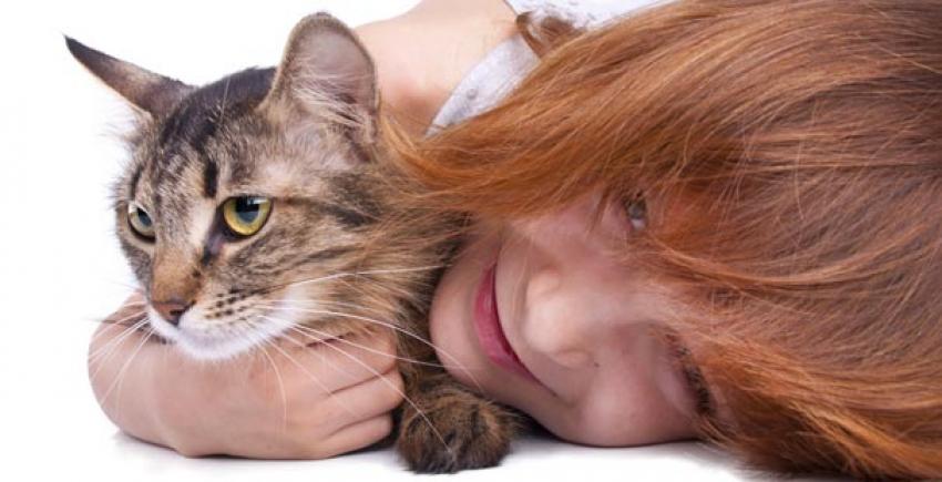 HAYVAN SEVGİSİ EĞİTİMİ DEVAM 