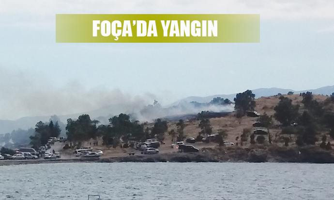 BİR DEMLİK ÇAY İÇİN ORMANI YAKTILAR!