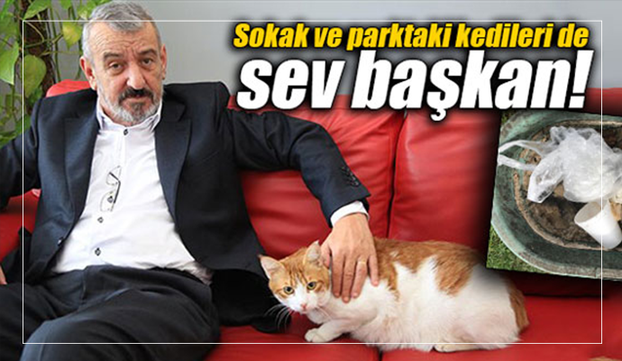 Su kapları, bakımsızlıktan çöplüğe döndü