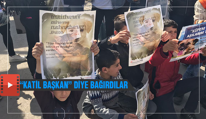 Hayvanseverlerden Başkan Tahir Şahin'e ağır suçlamalar