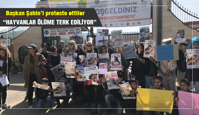 HAYVANSEVERLERDEN KORKUNÇ İDDİA!