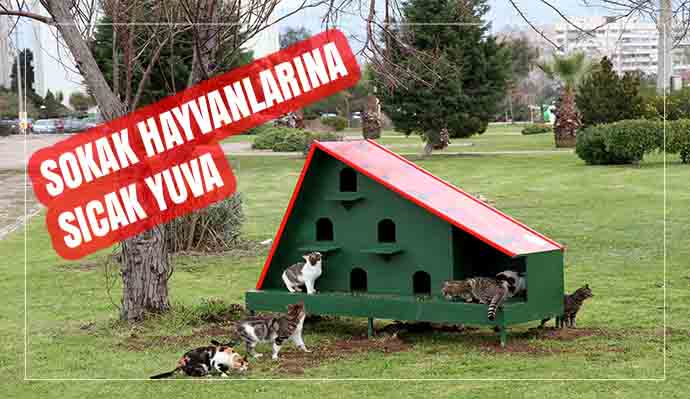 Sokak hayvanlarına sıcak yuva