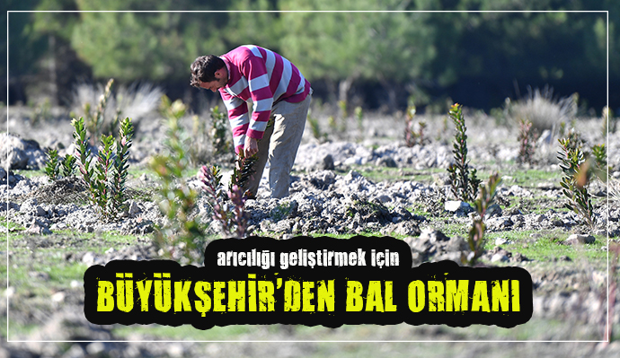 BU BALLAR KALİTESİYLE MARKA OLACAK!