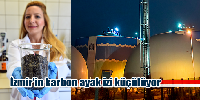 175 bin ağaca bedel