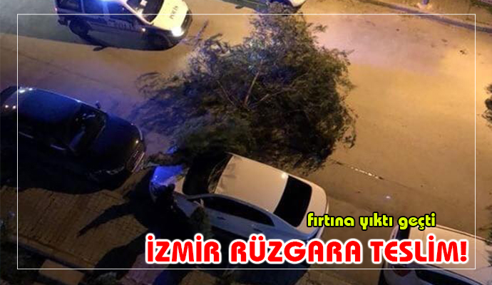 AĞAÇLAR DEVRİLDİ! İZMİR RÜZGARA TESLİM...