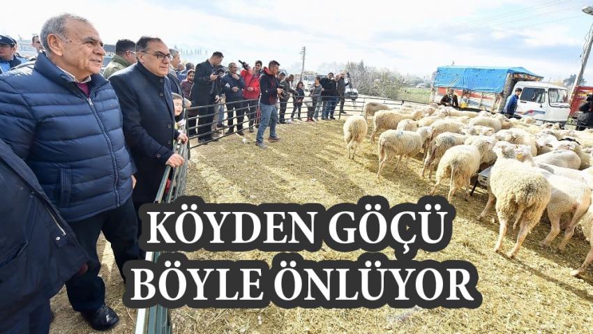 BÜYÜKŞEHİR'İN KÖY KALKINDIRMA HAMLESİ SÜRÜYOR