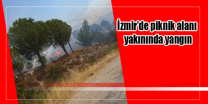 İzmir’de piknik alanı yakınında yangın