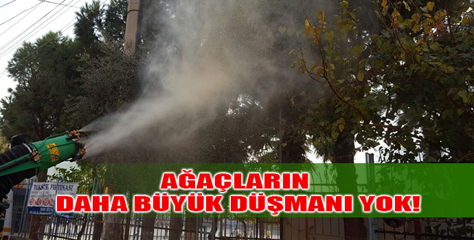 ÇAM KESE TIRTILINA GEÇİT YOK!