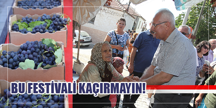Kavacık, festivale hazır