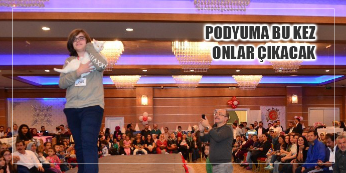 KEDİ GÜZELLİK FESTİVALİ BAŞLADI