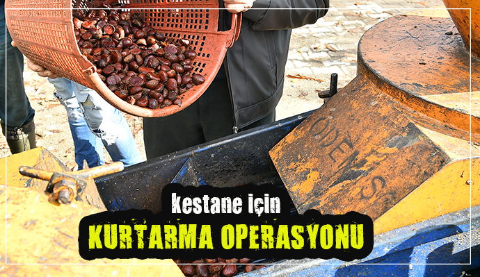 BÜYÜKŞEHİR'DEN KESTANE KANSERİYLE MÜCADELEYE DESTEK!