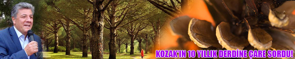 KOZAK'IN 10 YILLIK DERDİNİ MECLİSE TAŞIDI