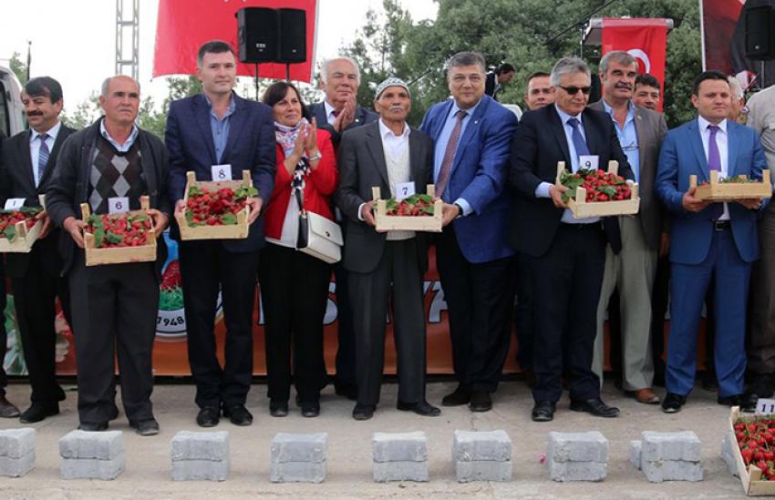 SINDIR: DİKKAT ÇİFTÇİLER TARIMI TERK EDİYOR!