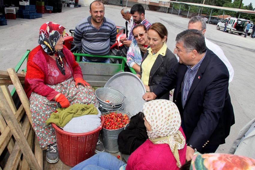 Sındır; “Kiraz Üreticisi Perişan”