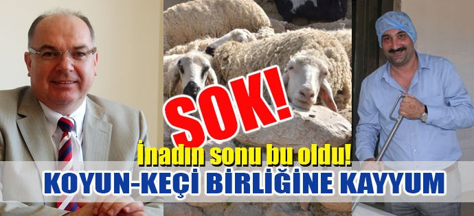 ŞOK! KOYUN-KEÇİ BİRLİĞİNE KAYYUM ATANDI