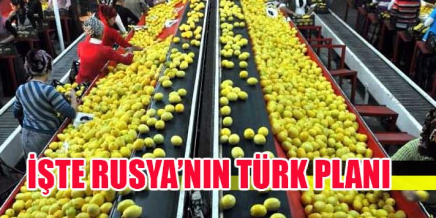 RUSYA'NIN 2020 TÜRK PLANI