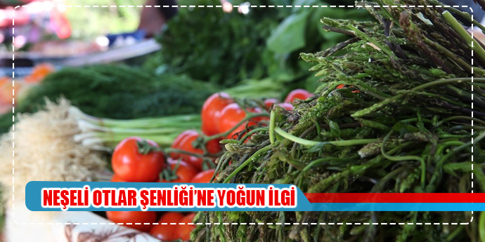 Buca’da Neşeli Otlar Şenliğine büyük ilgi