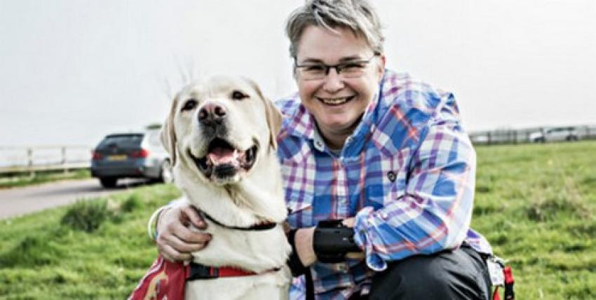 Köpekler kanseri koklayarak tespit edebiliyor