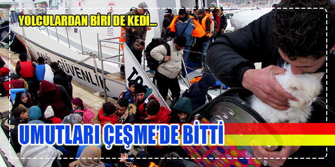 Kedisiyle umuda yolculuğa çıktı