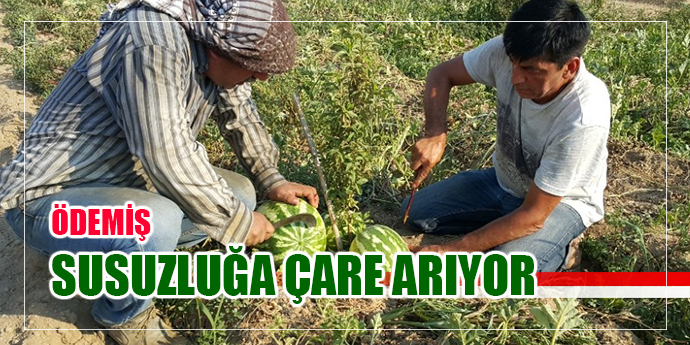 Susuzluk sorunu çeken üreticiden ilginç çözüm
