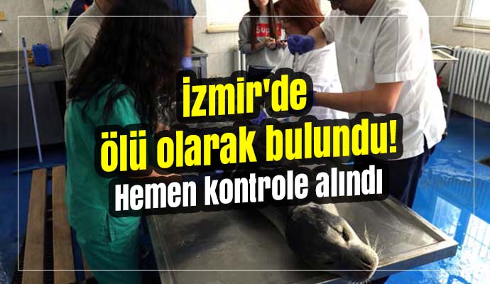 İzmir'de ölü olarak bulundu! Hemen kontrole alındı