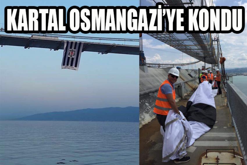 OSMANGAZİ KÖPRÜSÜNE KARTAL KONDU!