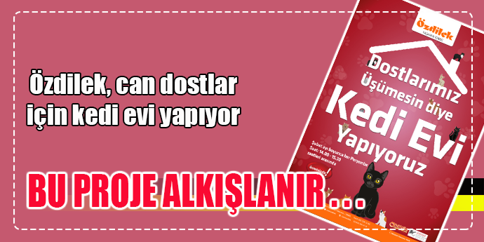ÖZDİLEK, SOKAK KEDİLERİ İÇİN KEDİ EVİ YAPIYOR