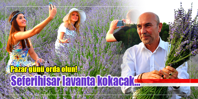 SAKİN ŞEHİR’DEN MİS KOKULU ŞENLİK DAVETİ